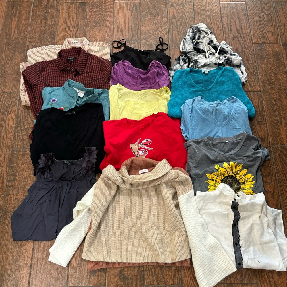 Woman’s clothing bundle ginger g, pink lily,scotch & soda